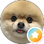 M F Avatar