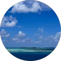 danny ocean Avatar